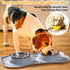 Hubulk Pet Dog Bowls 2 Stainless Steel with No Spill Non-Skid Silicone Mat + Pet Food Scoop Water and Food Feeder Bowls for Feeding Small Medium L...