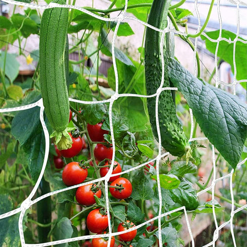 Trellis Netting, CANAGROW Heavy-Duty Garden Plant Trellis Netting for Climbing Plants, Outdoor Indoor Grow Net for Beans Tomatoes Peas Pumpkin Flo...