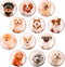 Glass Strong Animals Refrigerator Magnets,12 Pcs Decorative Magnets for Fridge Lovely Decor for Home Kitchen Office Whiteboard (Dog Refrigerator M...