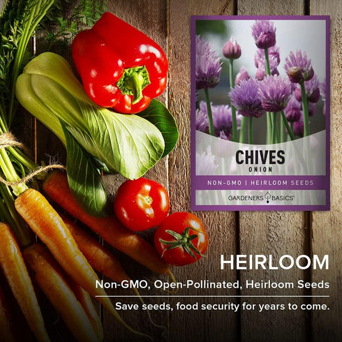 Chive Seeds for Planting is A Heirloom, Non-GMO Herb Variety- Chive Common Onion Herb Seeds Great for Indoor and Outdoor Gardening by Gardeners Ba...
