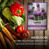 Chive Seeds for Planting is A Heirloom, Non-GMO Herb Variety- Chive Common Onion Herb Seeds Great for Indoor and Outdoor Gardening by Gardeners Ba...