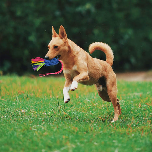Dog Tug Toy,Dog Toys for Aggressive Chewers Dog Rope Toy with Strong Squeak - Easy to GRAP Large Dog Chew Toy Ideal for Training for Puppy, Middle...