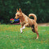 Dog Tug Toy,Dog Toys for Aggressive Chewers Dog Rope Toy with Strong Squeak - Easy to GRAP Large Dog Chew Toy Ideal for Training for Puppy, Middle...