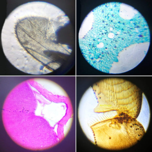 Science Kits for Kids Beginner Microscope with LED 100X 400X and 1200X-Include Sample Prepared Slides (1)...