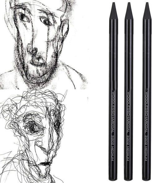 Pssopp Charcoals,25pcs Woodless Charcoal Pencils, Charcoal Drawing Bar Sticks Sketch Pencils Artist Art Drawing Sketching Painting Tools Stationer...