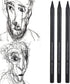 Pssopp Charcoals,25pcs Woodless Charcoal Pencils, Charcoal Drawing Bar Sticks Sketch Pencils Artist Art Drawing Sketching Painting Tools Stationer...