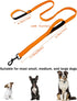 6FT Orange Strong Dog Leash with 2 Padded Handles, Traffic Handle Extra Control, Double-Sided Reflective Walking Lead for Small Medium and Large D...