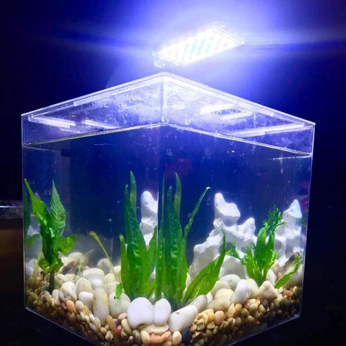 10W Super Slim Aquarium Fish Tank 5730 LED Light Clip-on Lamp Aquatic Plant Lighting (Black Body White+Blue Light)...