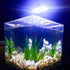10W Super Slim Aquarium Fish Tank 5730 LED Light Clip-on Lamp Aquatic Plant Lighting (Black Body White+Blue Light)...