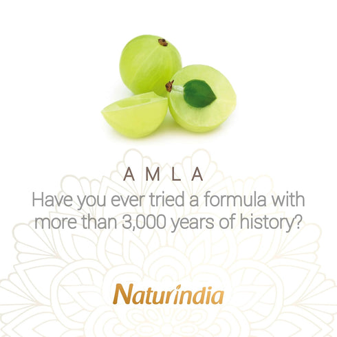 Ayurvedic Organic Shampoo for Hair Growth Amla Indian Vitalize Formula for Shiny and Strong Hair with Vitamin C and B-Complex natural herbs from I...