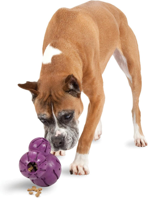 PetSafe Busy Buddy Barnacle - Dog Chew Toy - Treat Dispensing Dog Toys...