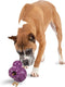 PetSafe Busy Buddy Barnacle - Dog Chew Toy - Treat Dispensing Dog Toys...