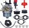 801396 Carburetor for Briggs & Stratton 801233 801255 Snow Blower Toro CCR2400 CCR2450 CCR2500 CCR3000 CCR3600 CCR3650 Powerclear 084132 084133 08...