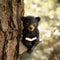Sitting Bear Tree Hugger with Solar LED Light, Baby Bear Reading Book Garden Statue, Resin Animal Figurine Outdoor Decor, Yard Art Sculpture for L...