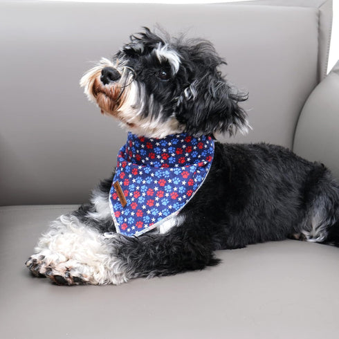 MR. CHUBBYFACE American Flag 4th of July Dog Bandanas Reversible Triangle Bibs Scarf Accessories for Dogs Cats Pets...