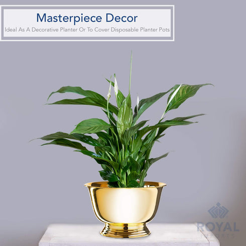 Royal Imports 6" Decorative Plastic Planter Pedestal Bowl- Flower Pot Cover, Footed Succulent Dish for Wedding, Party, Garden, Home and Holiday De...