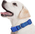 9 Pieces Adjustable Dog Collar for Medium Dogs, Soft Nylon Dog Collar with Quick Release Buckle Collar Bulk for Dogs Walking Running Training (Ret...