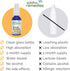 Siddha Remedies Throat & Voice Homeopathic Oral Spray for Sore, Strained Throat | Helpful for Releasing Stress in Throat and Neck | 100% Natural H...