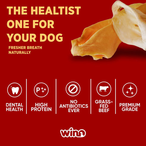 WINO - Ear for Dogs - Fully Digestible, Odor Free Chews, Supporting Dental Health, 100% Beef Hight Protein, Delicious Dog Snacks, Reducing Destruc...