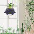 Cute Bird Hanging Planter for Indoor Outdoor, Ceramic Flower Pot Plant Holder for Succulent Cactus, Gardening Flowerpot for Plant Lover (Plants No...