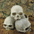 Hewnda Aquarium Decor Resin Artificial Head Skeleton Decoration - Aquarium Otaru Aquarium Decorative Cave Landscape Pet Reptile House...
