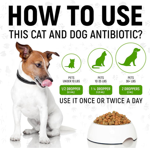 Antibiotic for Cats | Natural Antibiotics for Dogs | Cat Antibiotics | Dog Antibiotic | Antibiotic for Dogs | Natural Antibiotics for Cats | Natur...