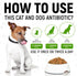 Antibiotic for Cats | Natural Antibiotics for Dogs | Cat Antibiotics | Dog Antibiotic | Antibiotic for Dogs | Natural Antibiotics for Cats | Natur...