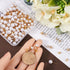 1 Box 120Pcs Hypoallergenic Pearl Earring Posts Pearl Earring Stud Findings with Loop and Imitation Pearl Beads Gold Stainless Steel Earring Studs...