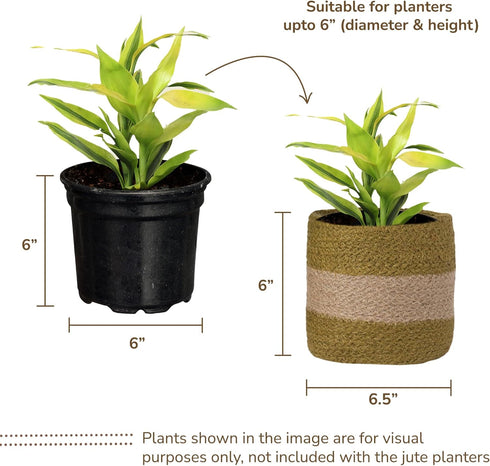 Jute Planter Basket-Woven Jute Rope Covers for Decorating Indoor/Outdoor Succulents, Small Plant Pots-Set of 2-Multi-Purpose Storage Bins 6.5 Inch...
