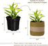 Jute Planter Basket-Woven Jute Rope Covers for Decorating Indoor/Outdoor Succulents, Small Plant Pots-Set of 2-Multi-Purpose Storage Bins 6.5 Inch...