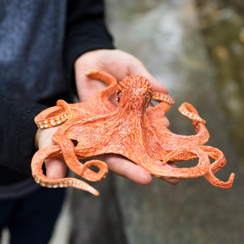 Safari Ltd. Giant Pacific Octopus Figurine - Lifelike 8" Model Figure - Educational Toy for Boys, Girls, and Kids Ages 3+...