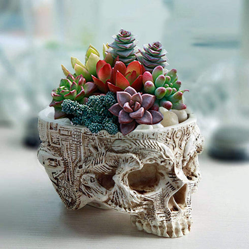 Skull Potted Plant Head Planter Pen Holder Desk Office Organizer Stationery Small Succulent Pots Gifts Decor Mini Resin Home Gardening Flower Pot ...