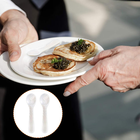 Set of Caviar Spoons Shell Spoon Mother of Pearl Caviar Spoons W Round Handle for Caviar, Egg, Ice Cream, Coffee, Restaurant Serving (2 Pieces,3.5...