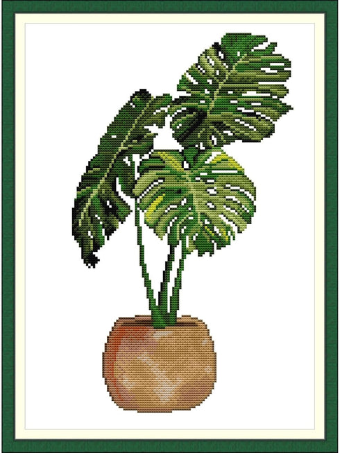 CROSSDECOR Stamped Cross Stitch Kits Full Range of Embroidery Patterns 11CT 3 Strands DIY Printed Cross-Stitch Kits for Adults Beginner -Monstera ...