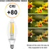 Ganiude E12 Dusk to Dawn Light Bulbs Outdoor, C35 B11 5W 60W Equivalent 500LM 2700K Warm White Photocell Sensor Filament Candelabra Bulbs, Auto ON...