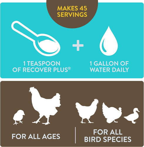Recover Plus Moderate Stress Probiotic Water Supplement for Chickens with Electrolytes & Oregano, 8 oz...