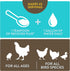 Recover Plus Moderate Stress Probiotic Water Supplement for Chickens with Electrolytes & Oregano, 8 oz...