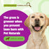 Pet Naturals Lawn Aid Dog Urine Neutralizer for Lawn - 60 Chicken-Flavored Chews - Healthy Dog Treats for PH Balance in Urine Maintain Green Grass...