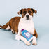 Fringe Studio Plush Dog Toy, Good Times and Tan Lines, Pet Shop Collection (314298)...