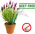 Mosquito Repellent Sticks EXTRA-THICK - Outdoor Use Reaches Up to 10-12 feet - Each Stick Burns for hours - (Three Pack Contains 15 Repellents)...