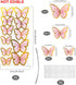 66 Pcs Butterfly Cupcake Toppers Birthday Party Decor,Pink Gold Cake Topper Picks Decor for Girls Women Wedding Birthday Party Baby Shower Party W...