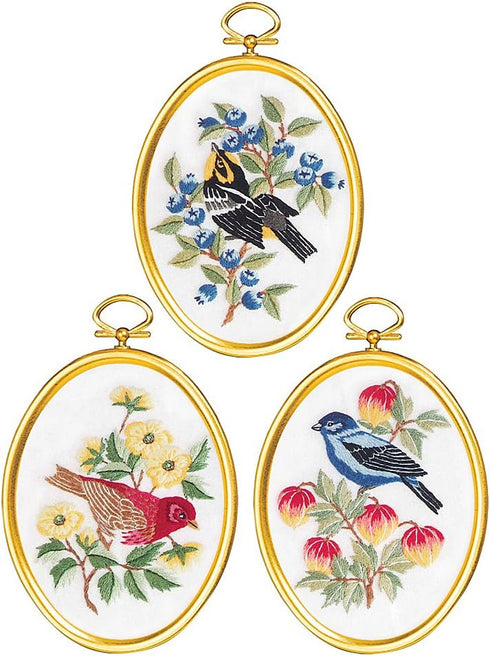 Janlynn Feathers & Flora Cross Stitch Supplies, Multi-Colored...