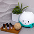 LittleHippo Set of 6 Premium 100% Pure Essential Oils 10ml Specially Formulated for Kids/Children for Use with WISPI (Lavender, Tea Tree, Geranium...