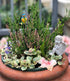 Decorative Angel Garden Stakes 2 Pack Miniature Angel Fairy Garden Angel Ornaments Small Angel Memorial Statue Fairy Garden Accessories...