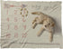 Primitives by Kathy Baby Milestone Blanket, 42 x 36-Inches, My Girl...