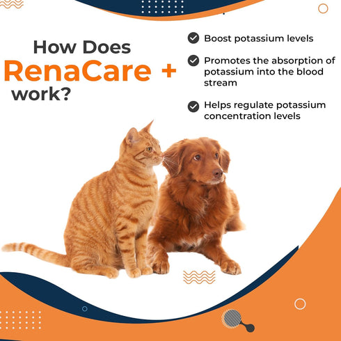 RenaCare K is for Renal K (Potassium Gluconate) Potassium Supplement Gel for Dogs and Cats, (5 oz) with Maple Flavor (Made in U.S.A)...