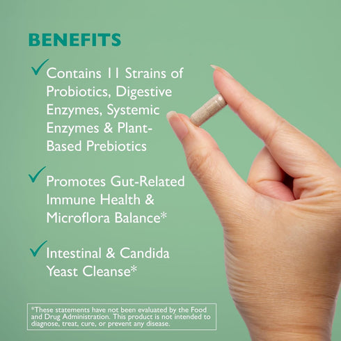 Floracor - Supports Gut & Intestinal Health - Premium Probiotic, Prebiotic and Enzyme Formula - 60 Vegetarian Capsules...