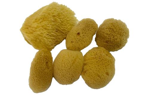 Soft Natural 6 Silk Sponges 1.5"-3" Cosmetic Makeup Application Removal Face Eye Nail Cleaning Like Cotton Balls Awesome Aquatic Creating The Perf...