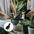 jojofuny 4pcs Garden Quail Stake Bird Yard Art Metal Statue Decor Animals Silhouette Outdoor Decoration Courtyard Ornaments for Lawns Backyard Pat...