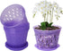 5 Inch 6 Pack Orchid Pot with Holes and Saucers Clear Orchid Pot?Purple Amethyst?...